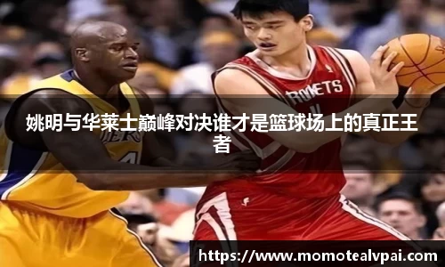 姚明与华莱士巅峰对决谁才是篮球场上的真正王者
