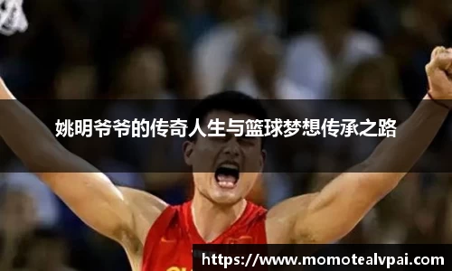 vsports胜利因您更精彩