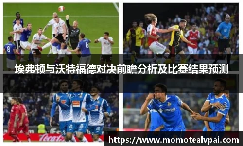 vsports胜利因您更精彩