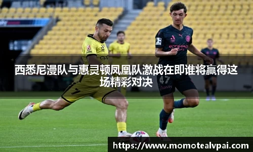 西悉尼漫队与惠灵顿凤凰队激战在即谁将赢得这场精彩对决